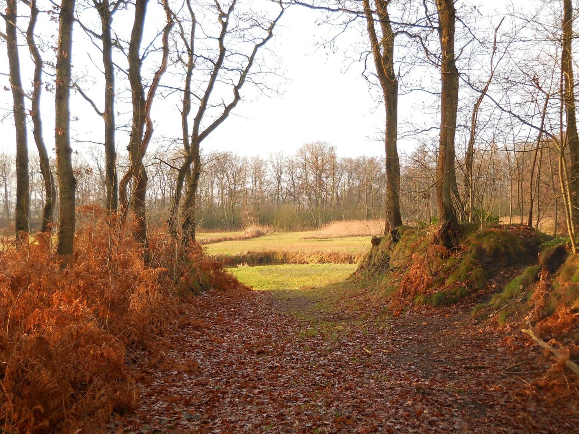 Slaopen En Stoet Bed & Breakfast Anderen Exterior photo
