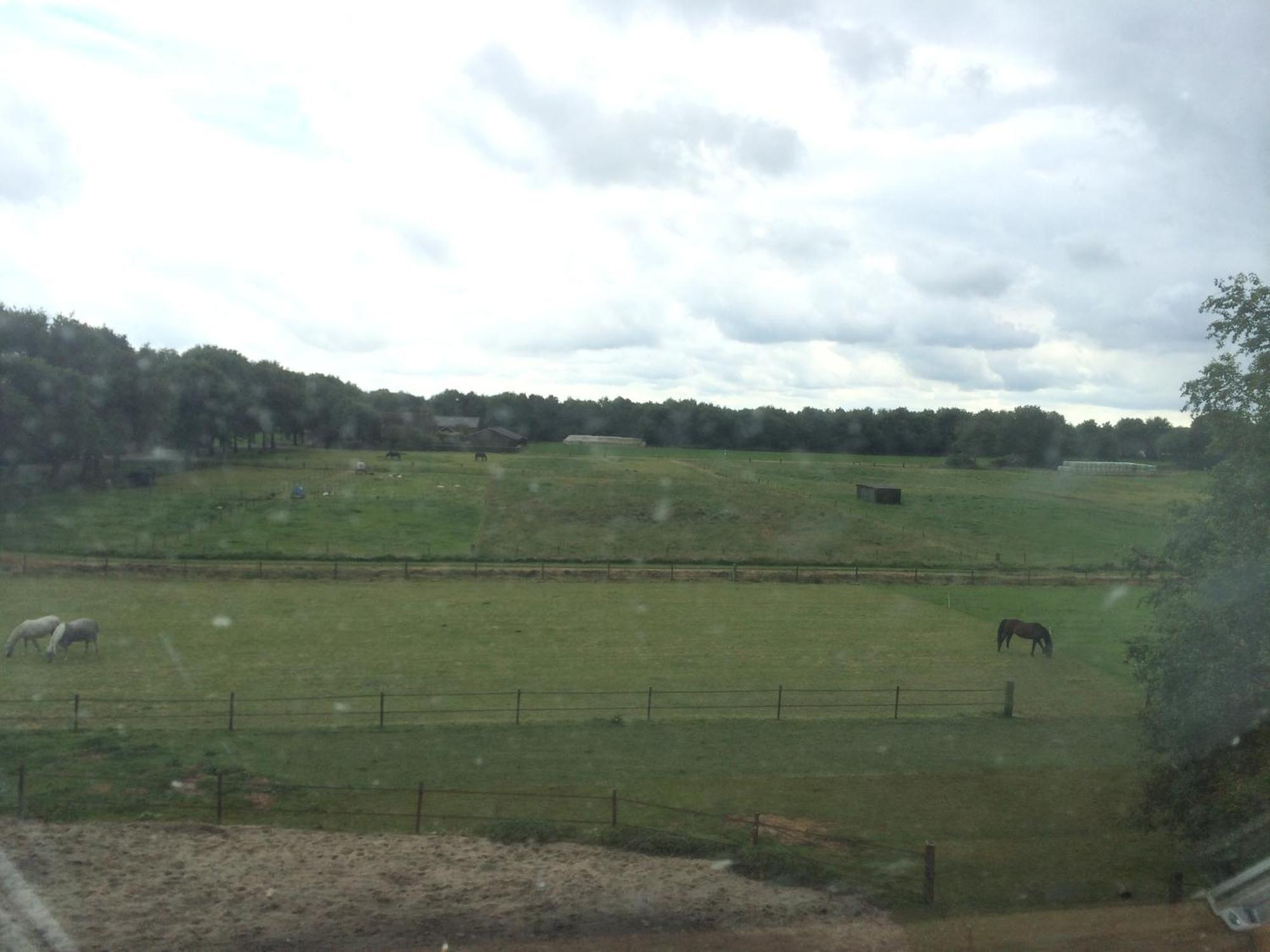 Slaopen En Stoet Bed & Breakfast Anderen Room photo